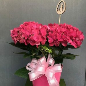 GAUPA-04 Hydrangée rose foncé 7.5po