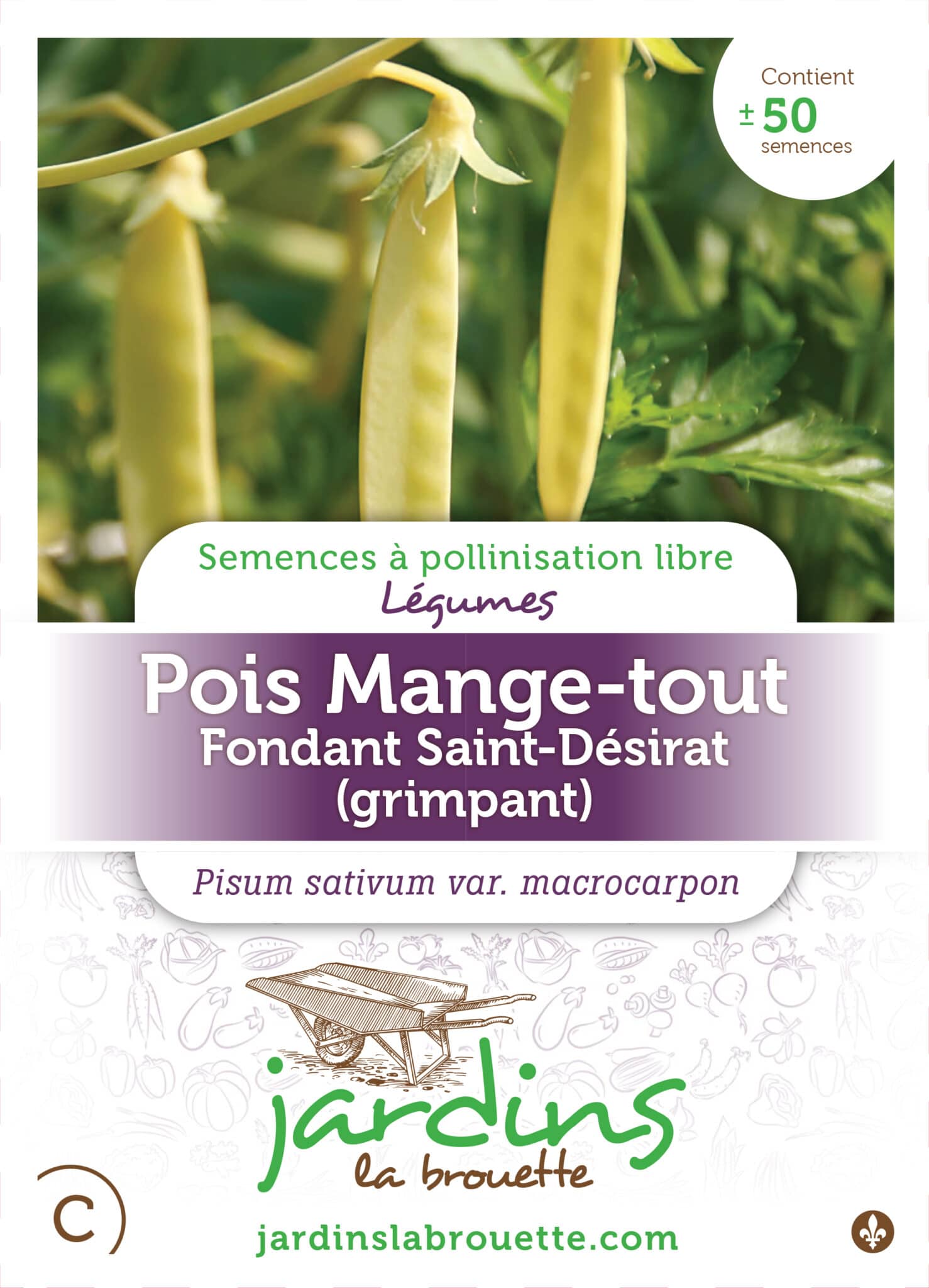 Les pois (pisum sativum) - Le potager ornemental de Catherine