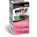 Insecticide Beetle B Gon