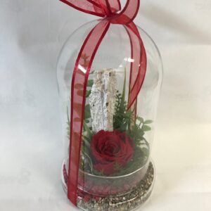Rose éternelle cloche en verre