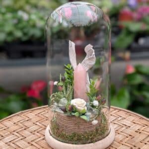 Dôme Quartz rose et rose éternelle